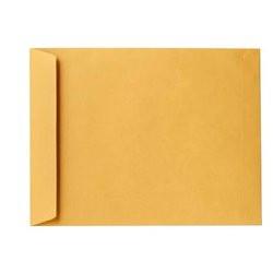 Pilsil Brown Envelope 8'' x 10'